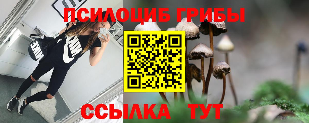 Псилоцибиновые грибы MAGIC MUSHROOMS  купить наркотики сайты  Сибай  Вход с VPN 
